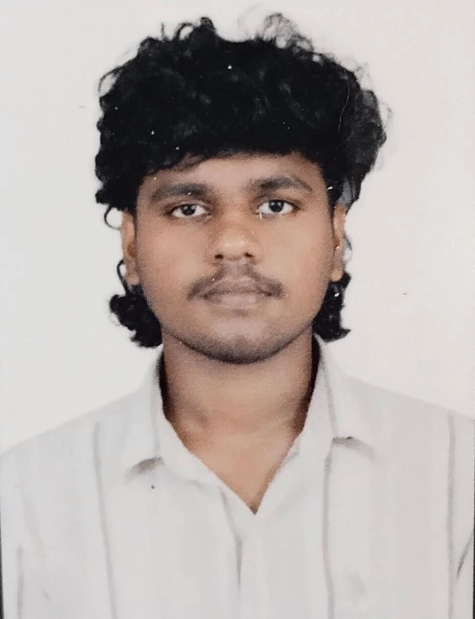 freelance digital marketer parappanagadi